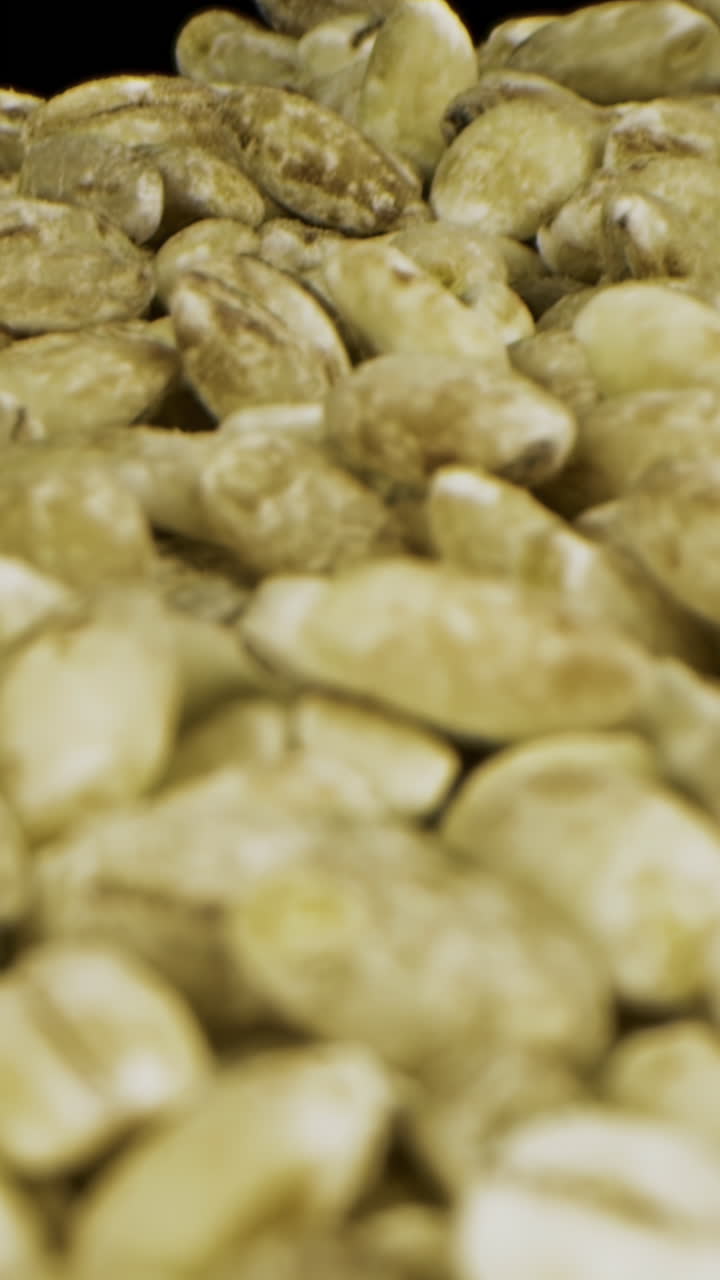 보리 곡물 클로즈업