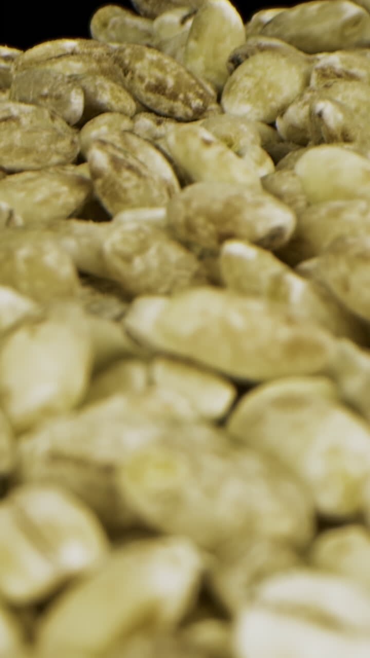 Barley Grains Closeup