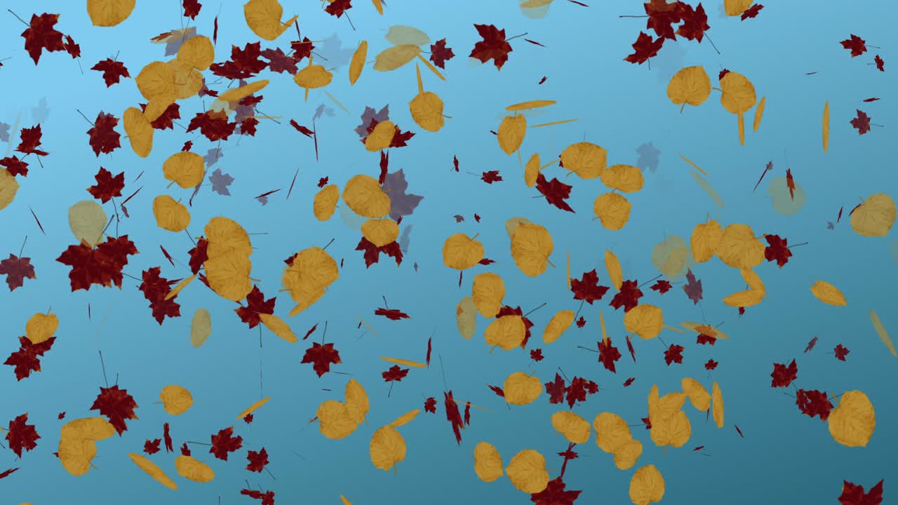 떨어지는 잎의 애니메이션 루프 가을
