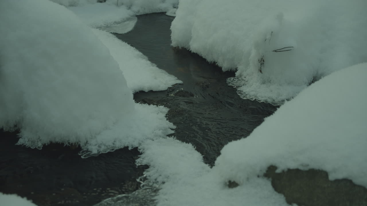 눈과 얼음으로 덮인 얼어붙은 강