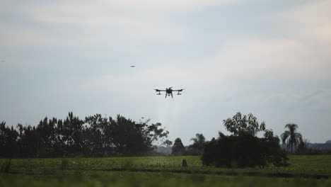 image of a dji agras t30 drone hovering in the air while a dji mavic air 2s drone records it