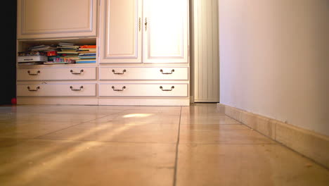 a brown rat running in the house in slow motion