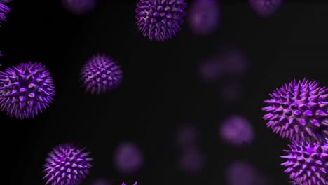 digital animation of multiple purple covid-19 cells floating against black background