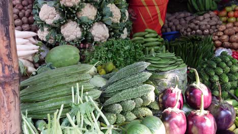 fresh vegetables at a local market