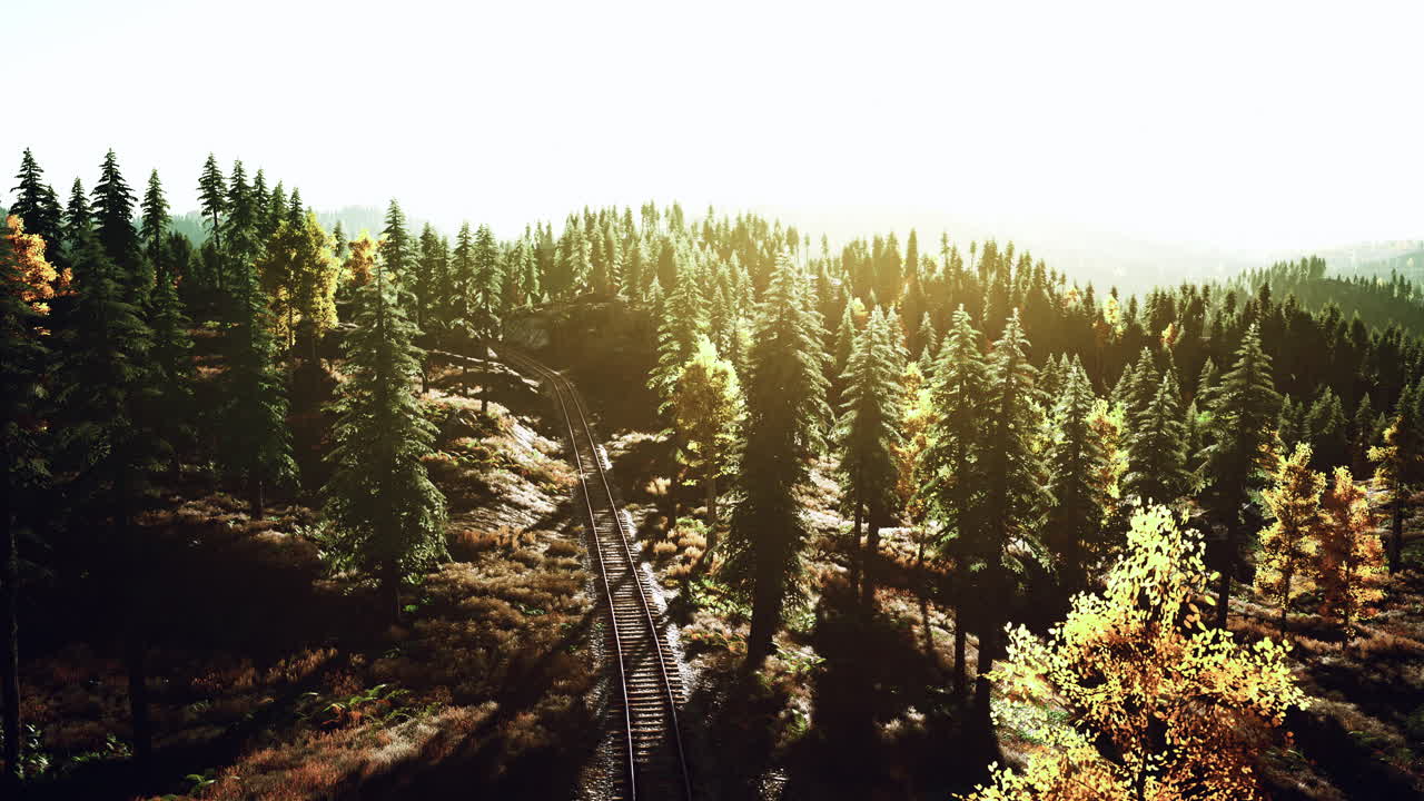 숲 을 가로질러 열차 트랙