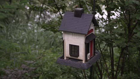 Desolated-Bird-House-Feeder-swinging-in-tree-at-sundown,-green-background