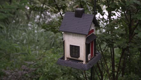 verlaten vogelhuisvoeder dat in boom slingert bij zonsondergang, groene achtergrond