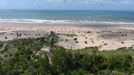 descending drone flight past a tropical forest towards a beach