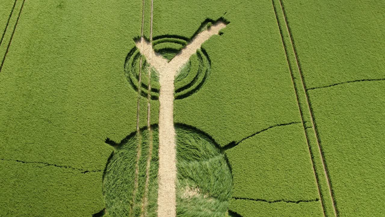 mirando hacia abajo en winterbourne bassett destruido patrón de círculo de cosecha vista aérea sobre el campo de cebada de wiltshire