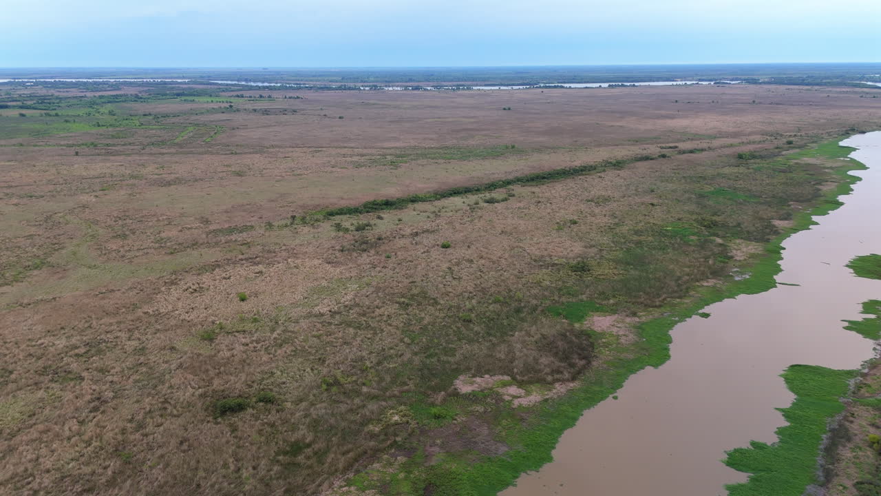 Aerial view of muddy river and wetlands in Argentina's Paraná Delta