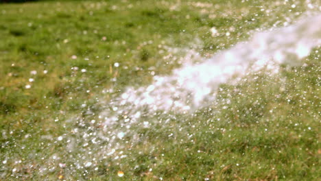 water spraying on the grass