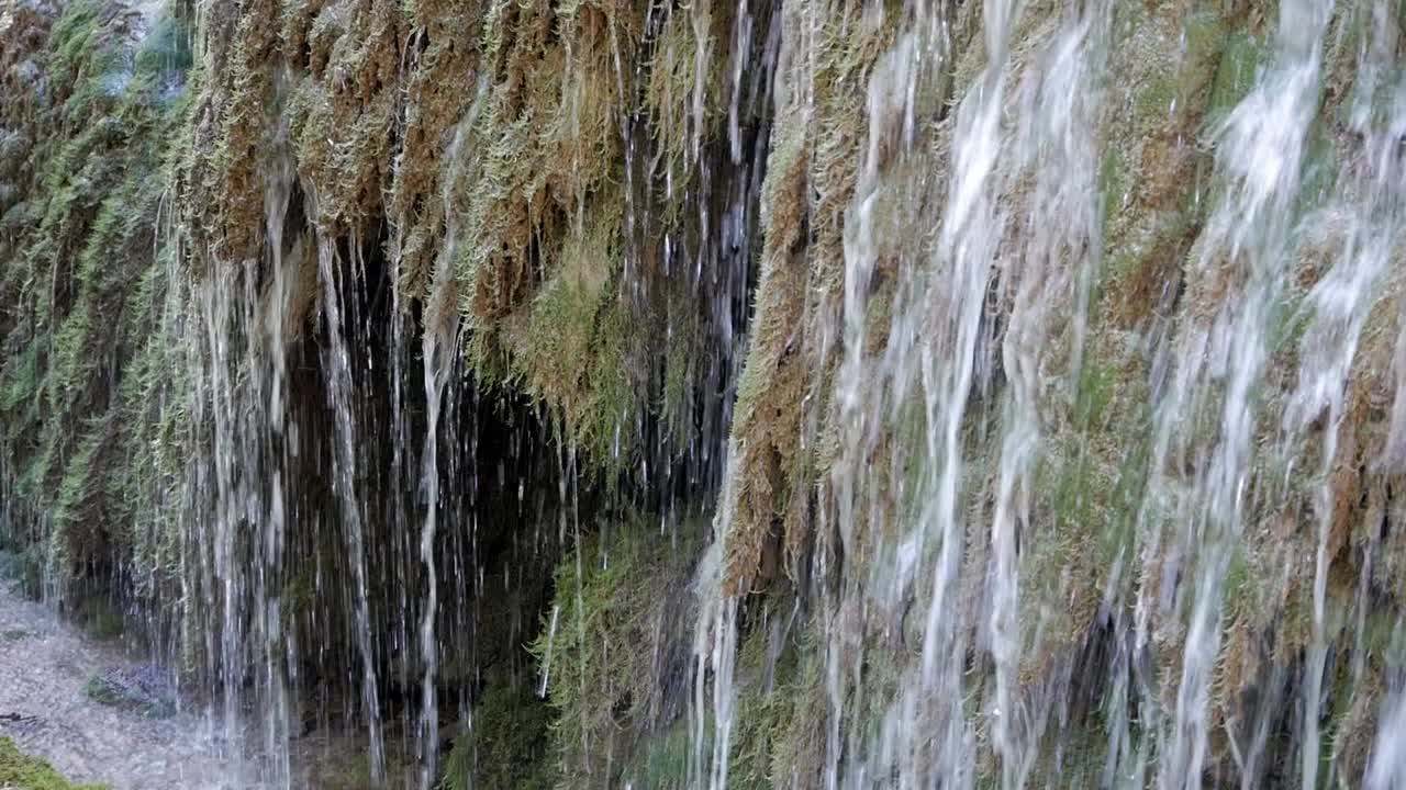 Closeup water stream on moss and lichen on rock vertical wall