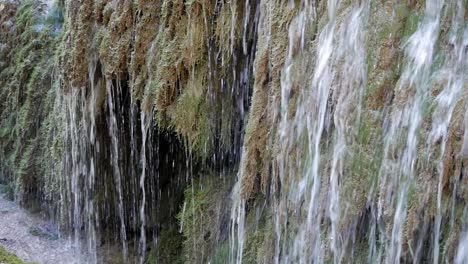 corriente de agua de primer plano sobre musgo y liquen en la pared vertical de roca