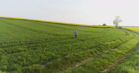 Male-Farm-Researcher-Standing-On-Dirt-Road-Amidst-Fields-10