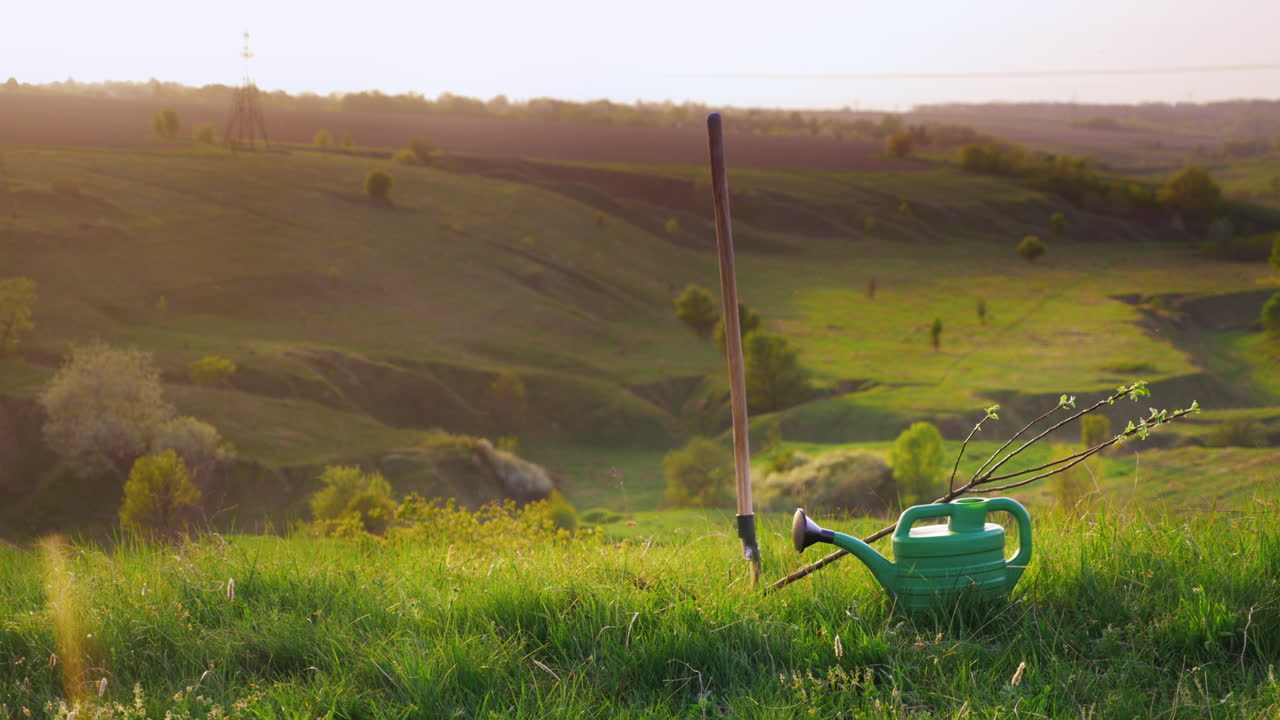 평화로운 풍경 - 무성한 풀과 나무가 있는 푸른 언덕