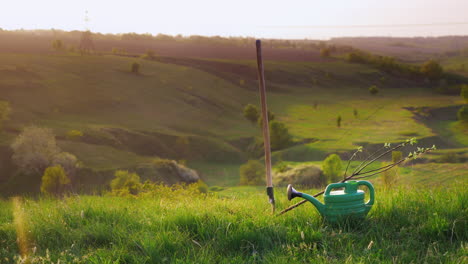 peaceful landscape - green hills with lush grass grass and trees