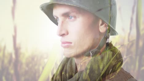 animation of caucasian soldier in helmet over meadow background