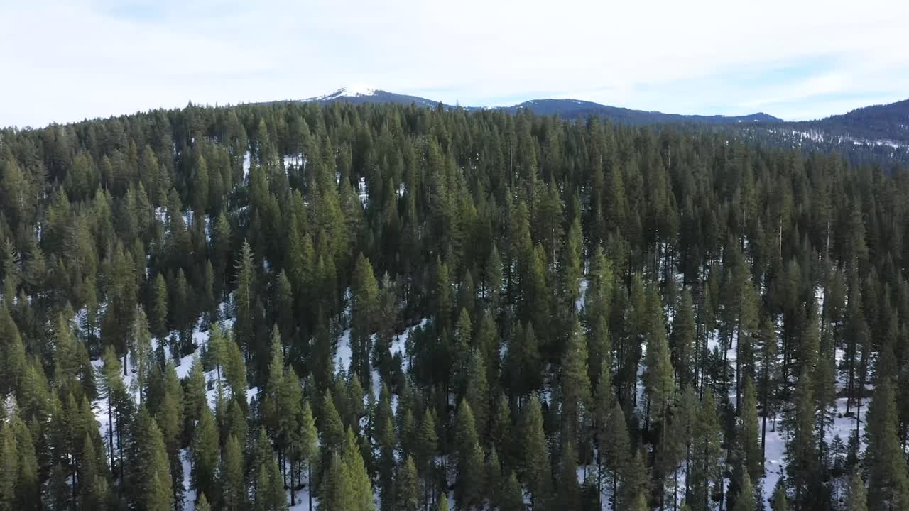 Drone che vola su e oltre colline e alberi coperti di neve per rivelare una cima di montagna innevata in lontananza