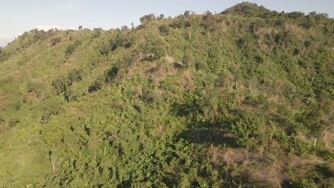 Imágenes-Aéreas-De-4k-De-La-Ladera-Cubierta-De-Plantaciones-De-árboles-Cerca-Del-Embalse-De-Khlong-Bod-En-Nakhon-Nayok,-Tailandia