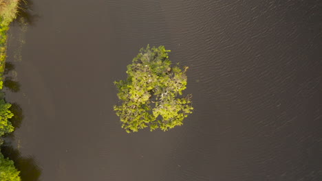 camera gently rolls downward, capturing birds flying over the island with a bird's nest in the lake