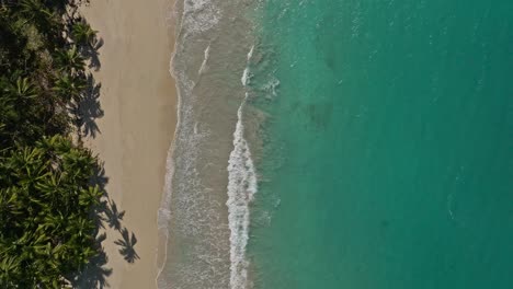 Playa-Rincon-beach-and-tropical-sea,-Samana-in-Dominican-Republic