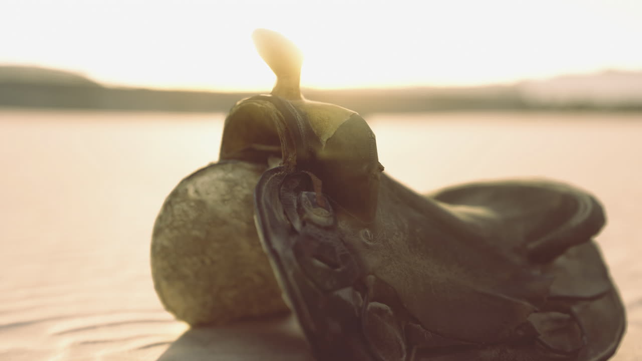 Elegant cowboy saddle glimmers under the warm glow of sunset by the riverbank