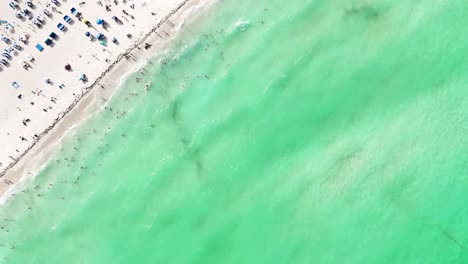 Top-down-drone-view-starting-over-the-ocean,-moving-across-the-shoreline,-and-over-people-on-the-sand