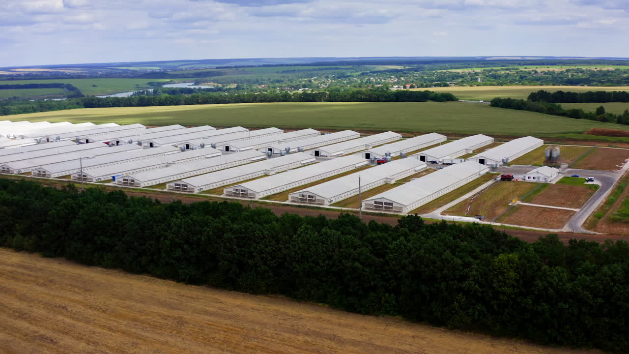 White barns on field. Modern farm among beautiful green nature. Rows of agriculture buildings in rural place in summer. Drone view.