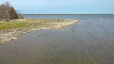 goergeous aerial drone footage orbiting and slying above wavy baltic sea ocean water in front of puhtulaid rocky beach shoreline during a sunny day with leafless trees and broadleaf forest in the back