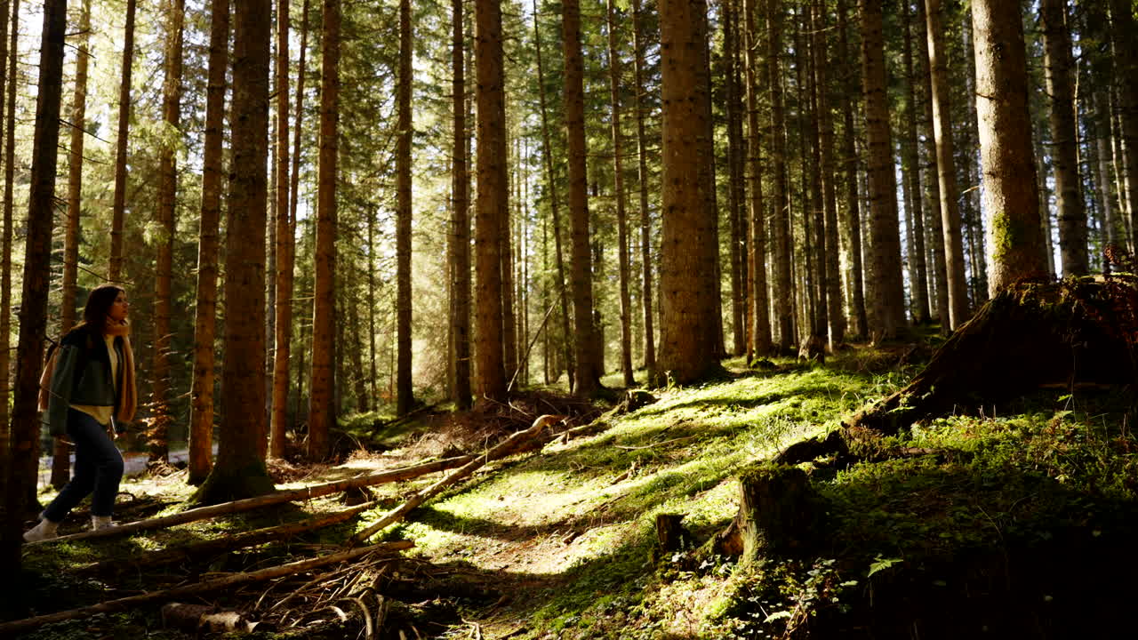 Donna che fa trekking in un bosco soleggiato