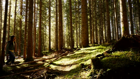 woman hiking in a sunny forest