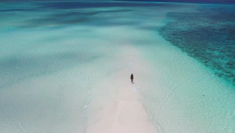 lonely female walking on tropical white sandbar