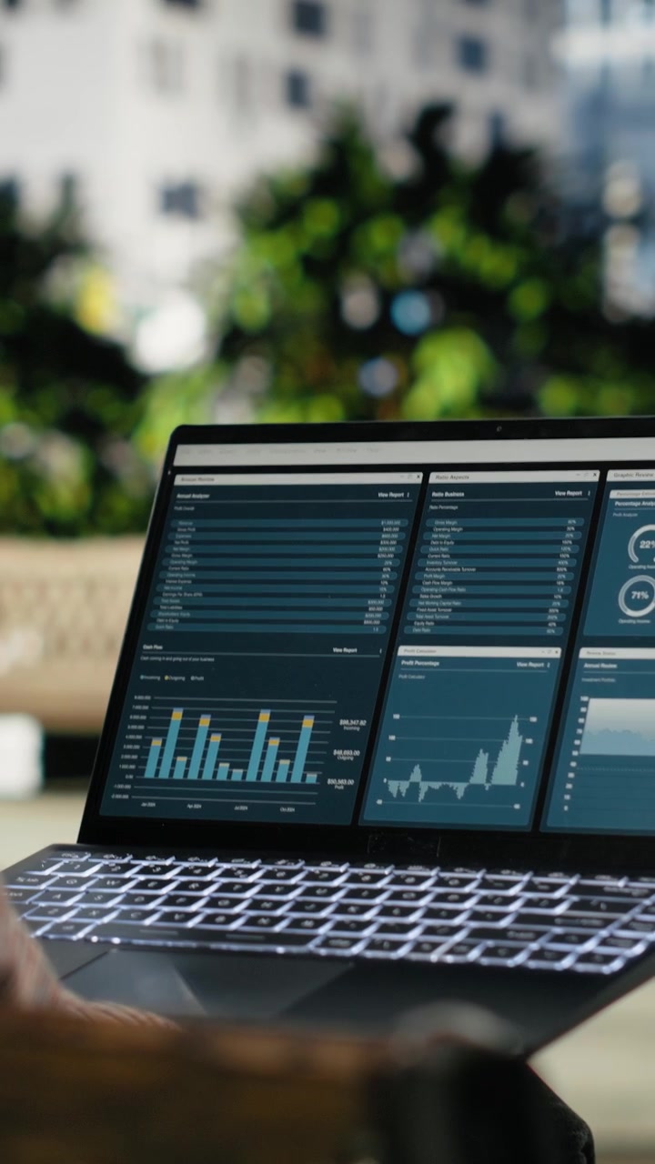 Vertical video Businesswoman examines analytics dashboard on laptop while sitting on park bench