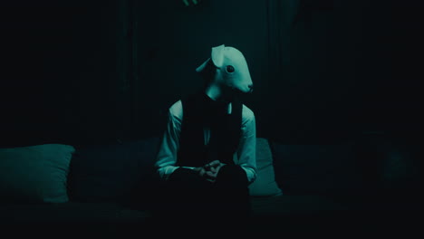 man in rabbit mask