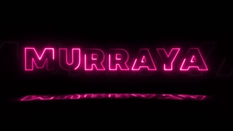 la palabra "murraya" brilla en neón sobre un fondo negro con reflejos en el suelo. letreros de brillo de neón en gráfico de movimiento de bucle sin costuras