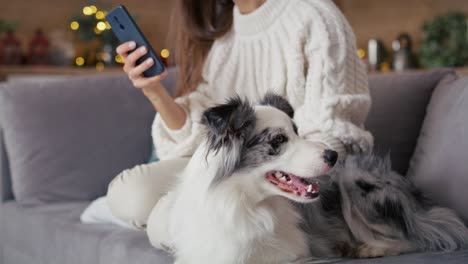 Woman-chilling-with-dog-on-sofa-with-mobile-phone-during-the-Christmas.