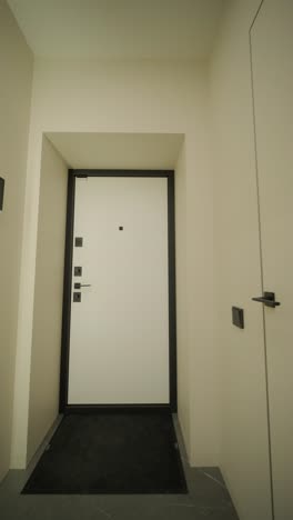 white entrance door inside an apartment in a modern interior