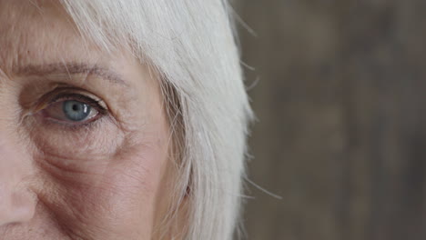 close up beautiful elderly woman eye looking at camera blue iris