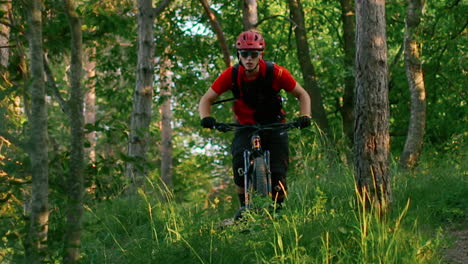 mountain biking in the woods