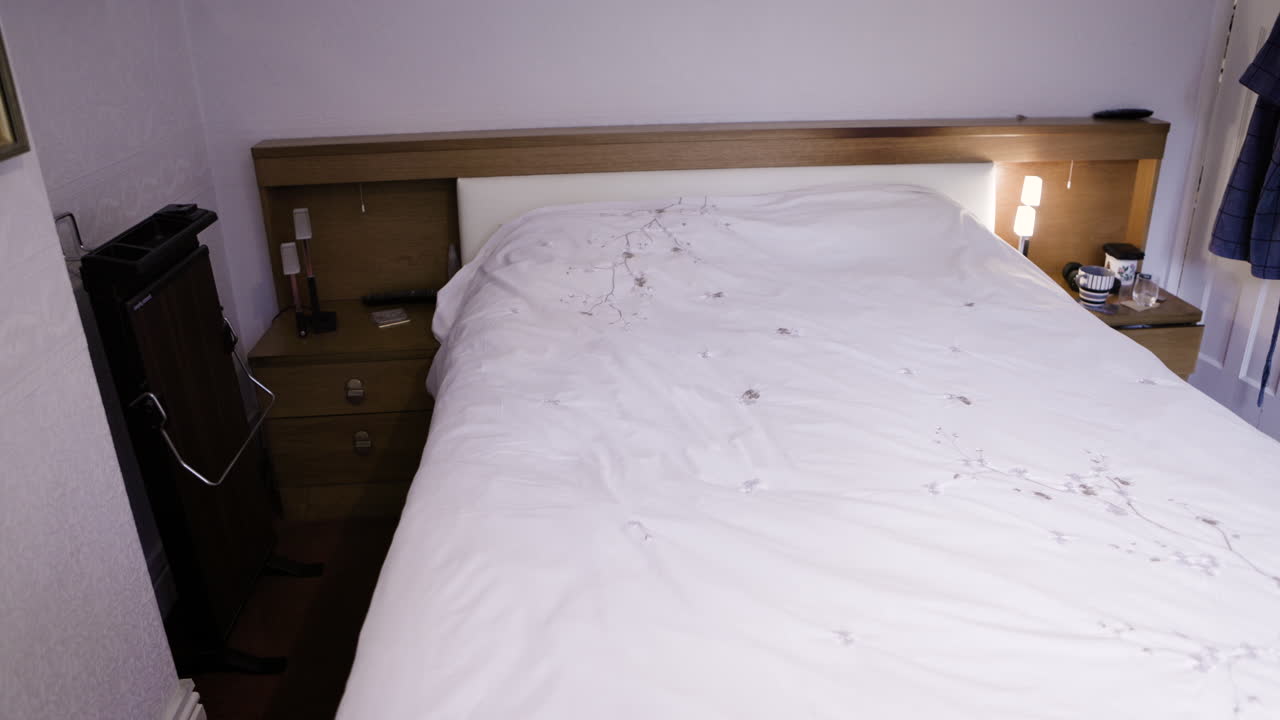 Bedroom interior with bed and furniture