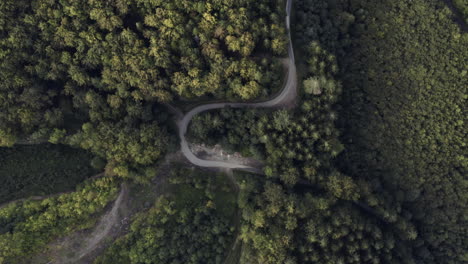 Antena-Estática-De-Un-Camino-Sinuoso-A-Través-Del-Bosque,-República-Checa