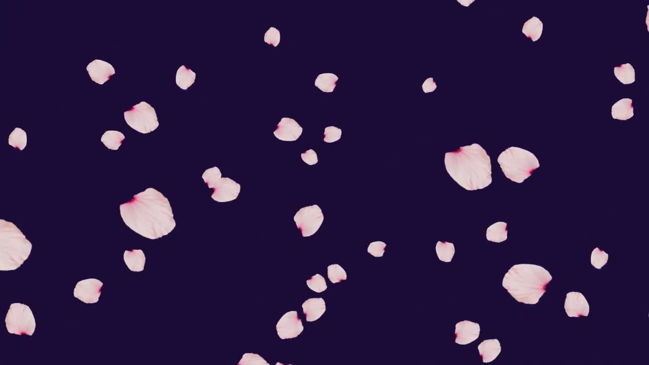 파란색 배경에  꽃잎의 애니메이션