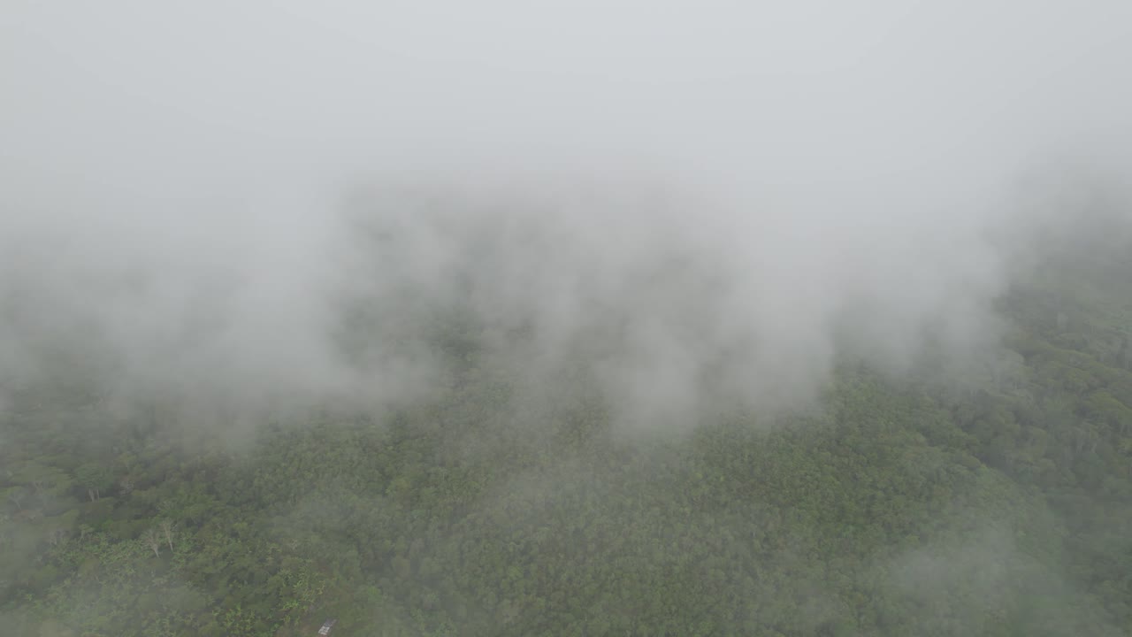 Lateral movement with drone in middle of clouds  with view of mountains at a foggy morning in Colombia