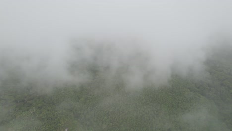 lateral movement with drone in middle of clouds  with view of mountains at a foggy morning in colombia