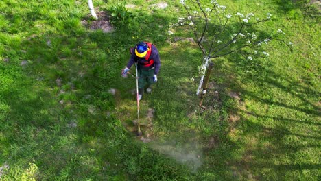 a man mows the grass in the orchard with an electronic scythe