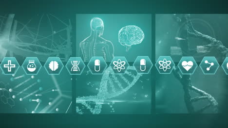 vídeo generado digitalmente de iconos médicos y procesamiento de datos