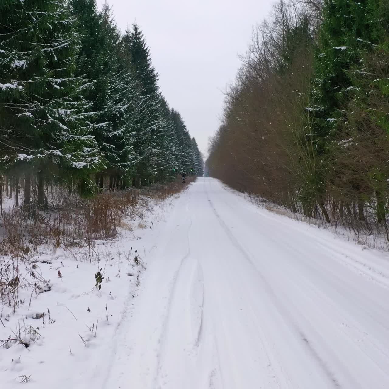 Drone flying over forest