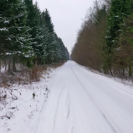 drone flying over forest
