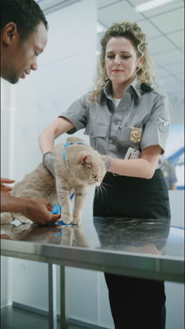 airport pet inspection