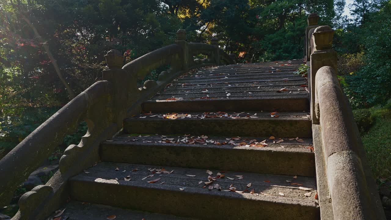 Eine detaillierte Aufnahme im niedrigen Winkel der abgenutzten Steinstufen einer traditionellen Bogenbrücke, die mit braunen Herbstblättern übersät ist und von weichem, geflecktem Sonnenlicht beleuchtet wird.